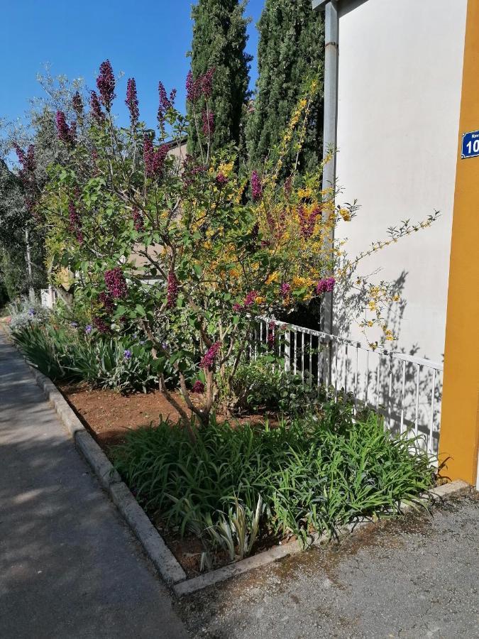 4 Roses Apartment Ravni Dış mekan fotoğraf